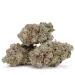 Pinkman-Goo-3-buds