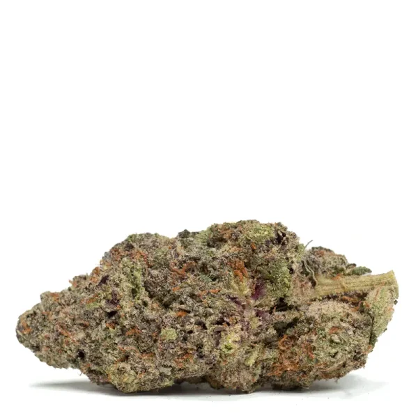 Purple-Reign