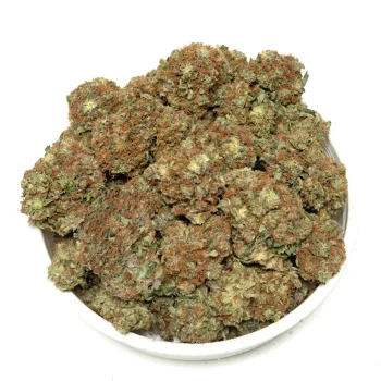 Real-picture-of-Astro-Pink-Buds