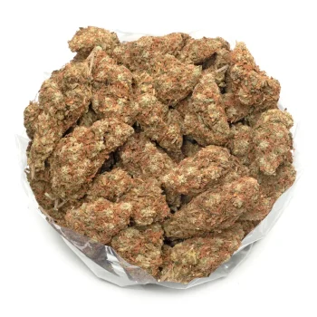 Red-Congolese-strain bulk photo