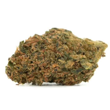 Sapphire Kush marjuana flower jagged edges with rust-toned pistils threaded throughout