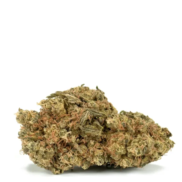 Sensi Star Bud with light green leaves and orange hairs.