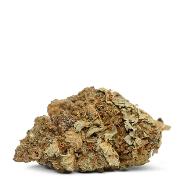 Single Bud of Sour Diesel Strain