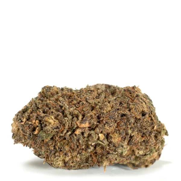 Single-bud-of-Black-Gold-strain