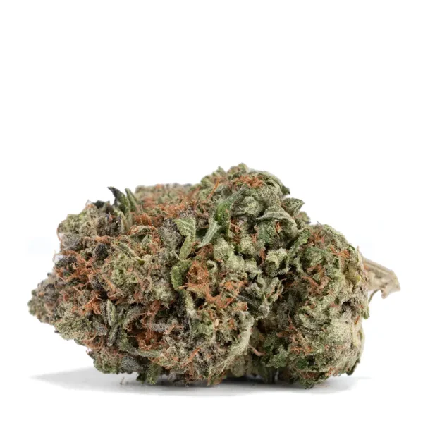 Trap Gas OG Detailed Single Bud