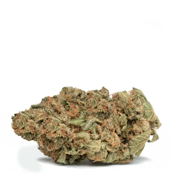 Tuna-Kush