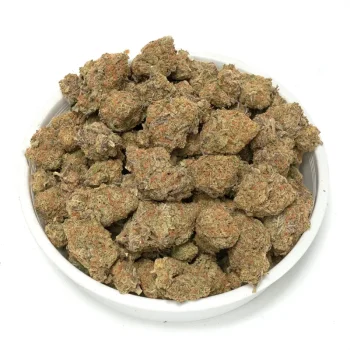 Vibrant-Rainbow-Sherbet-Buds