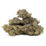 front view of black tuna weed buds