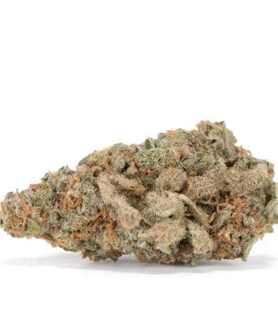 single alien cookies bud