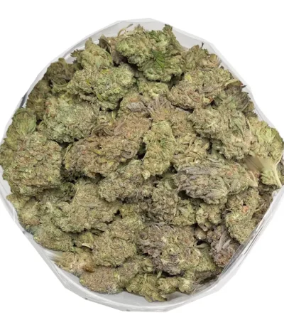 apricot-kush-closeup-of-dense-resinous-buds