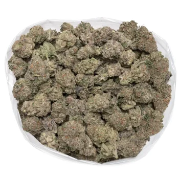 bag-full-grape-runtz-weed