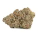 berry smasher strain