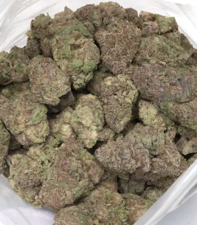 big-bag-of-blackberry-strain-detailed-buds