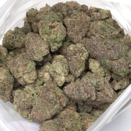 big-bag-of-blackberry-strain-detailed-buds