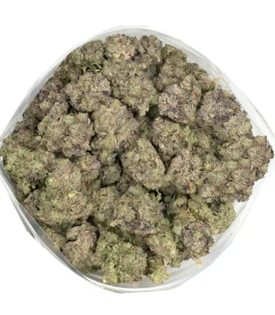 big bag of blue-fin-tuna strain buds