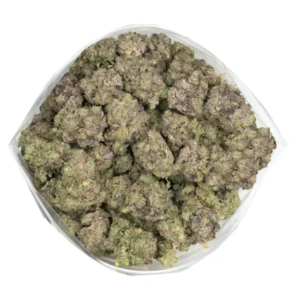 big bag of blue-fin-tuna strain buds