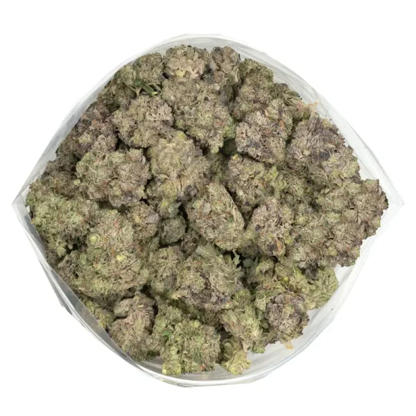 big bag of blue-fin-tuna strain buds