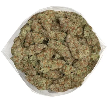 big-chunky-smackerz-buds-covered-in-tirchomes-and-vibrant-colours