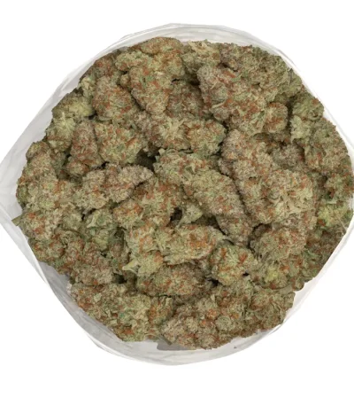 big-chunky-smackerz-buds-covered-in-tirchomes-and-vibrant-colours