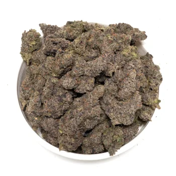 big-pile-of-black-widow-buds