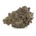 black mamba strain