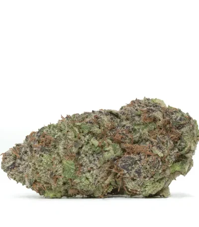 blackberry-strain