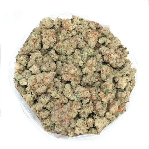Popcorn size buds of Blood Orange strain covered in bright orange hairs