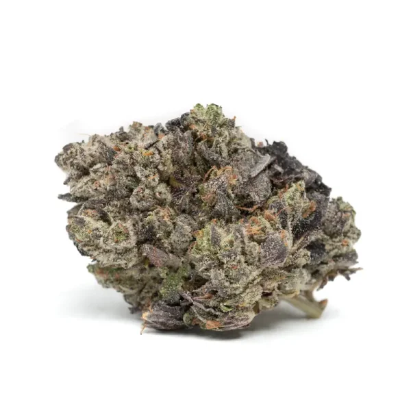 blue-fin tuna strain