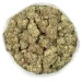 blueberry strain dried marijuana flower in a bag