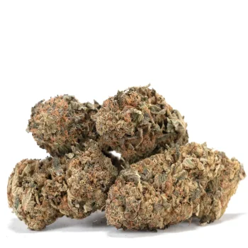 bunch-of-bubba-kush-buds-1