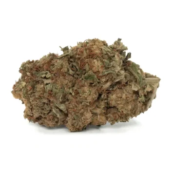 cactus breath strain