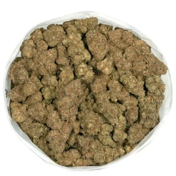 cactus breath strain marijuana buds
