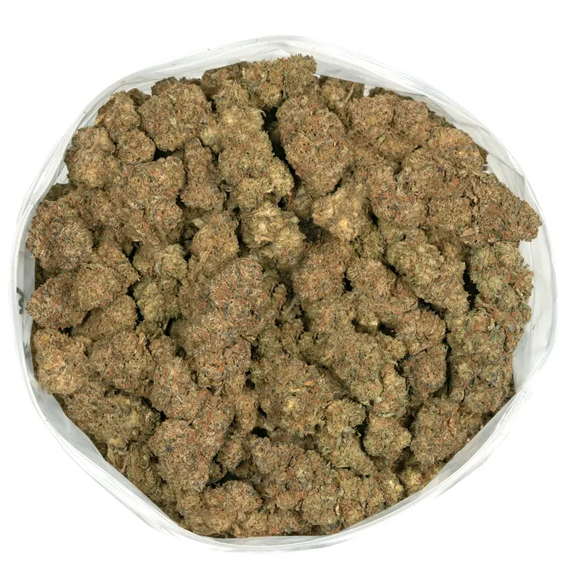 cactus breath strain marijuana buds cactus breath strain marijuana buds