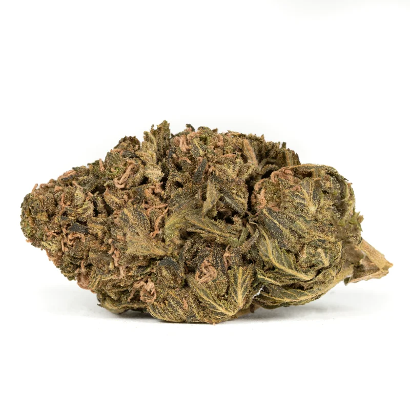 california orange strain california orange strain