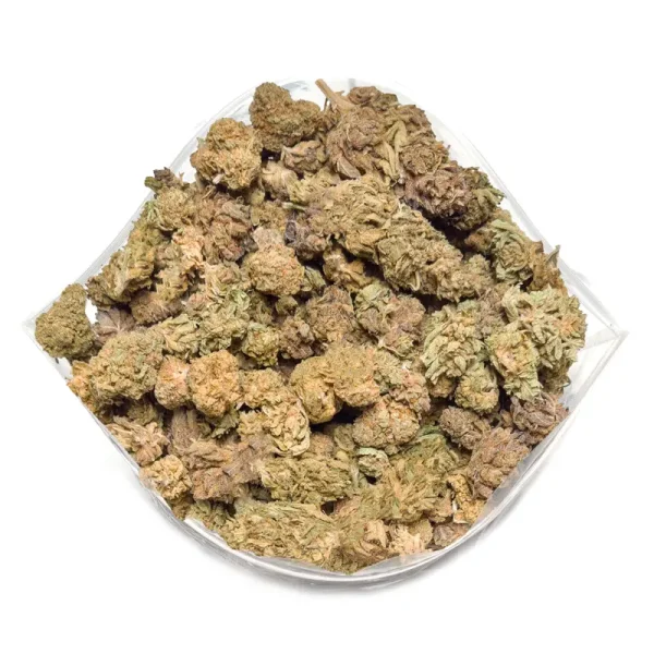 cat piss strain