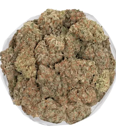 close-up-photo-of-big-chunky-jet-fuel-buds