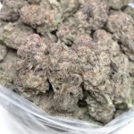 close-up-photo-of-cherry-bomb-weed-buds