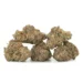 cluster of berry smasher strain marijuana buds
