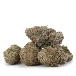 cluster-of-grape-runtz-buds