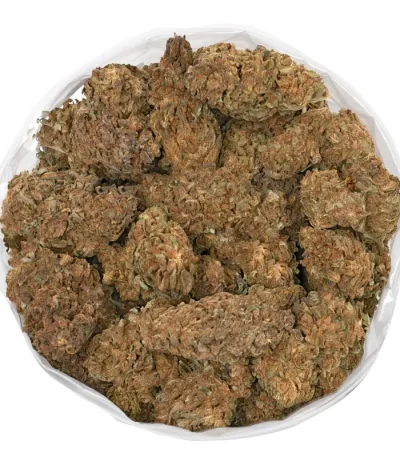 close-up of dense buds from the forbidden fruit cannabis strain.