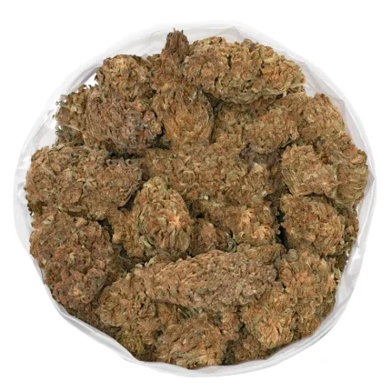 close-up of dense buds from the forbidden fruit cannabis strain.