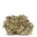 single of bud critical-mass-strain