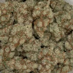 dante's inferno strain super closeup
