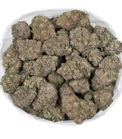 death-tuna-detailed-buds-in-a-bag
