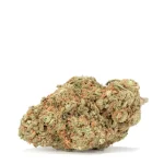electric-lemon-g