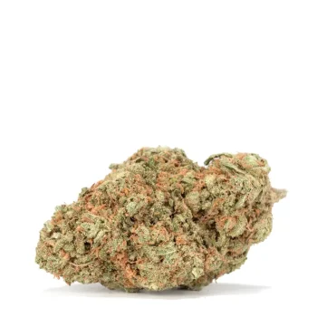 electric-lemon-g