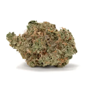 galactic glue strain