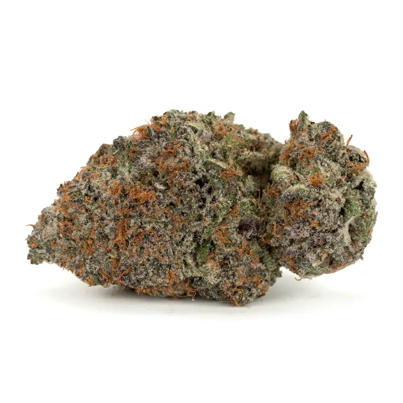 gastro pop weed strain gastro pop weed strain