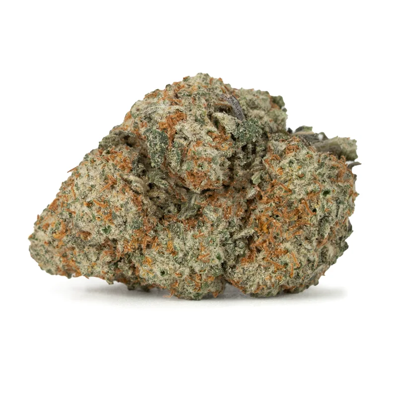 girl scout cookies strain girl scout cookies strain