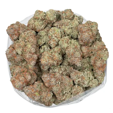 "Up-close view of Rocket Fuel's resin glands, capturing the essence of its pungent diesel and citrus aroma"